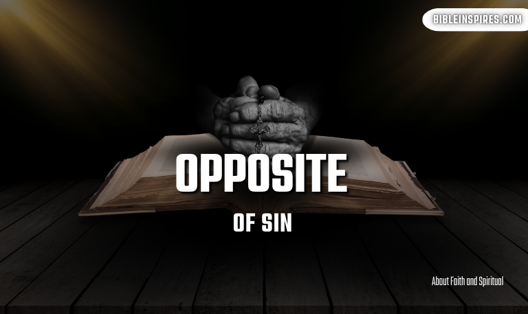 The-Opposite-of-Sin-Understanding-Righteousness-[2025]