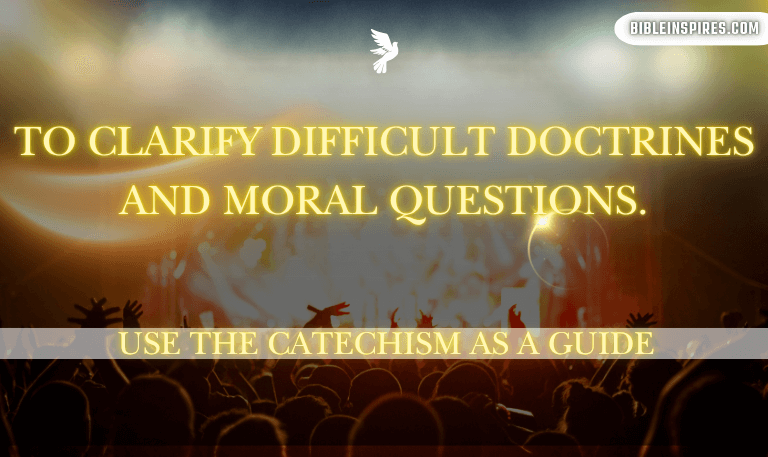 what-is-the-difference-between-the-bible-and-the-catholic-bible